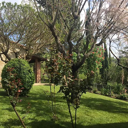 Buccia Nera Villa Chiassa Superiore Exterior photo