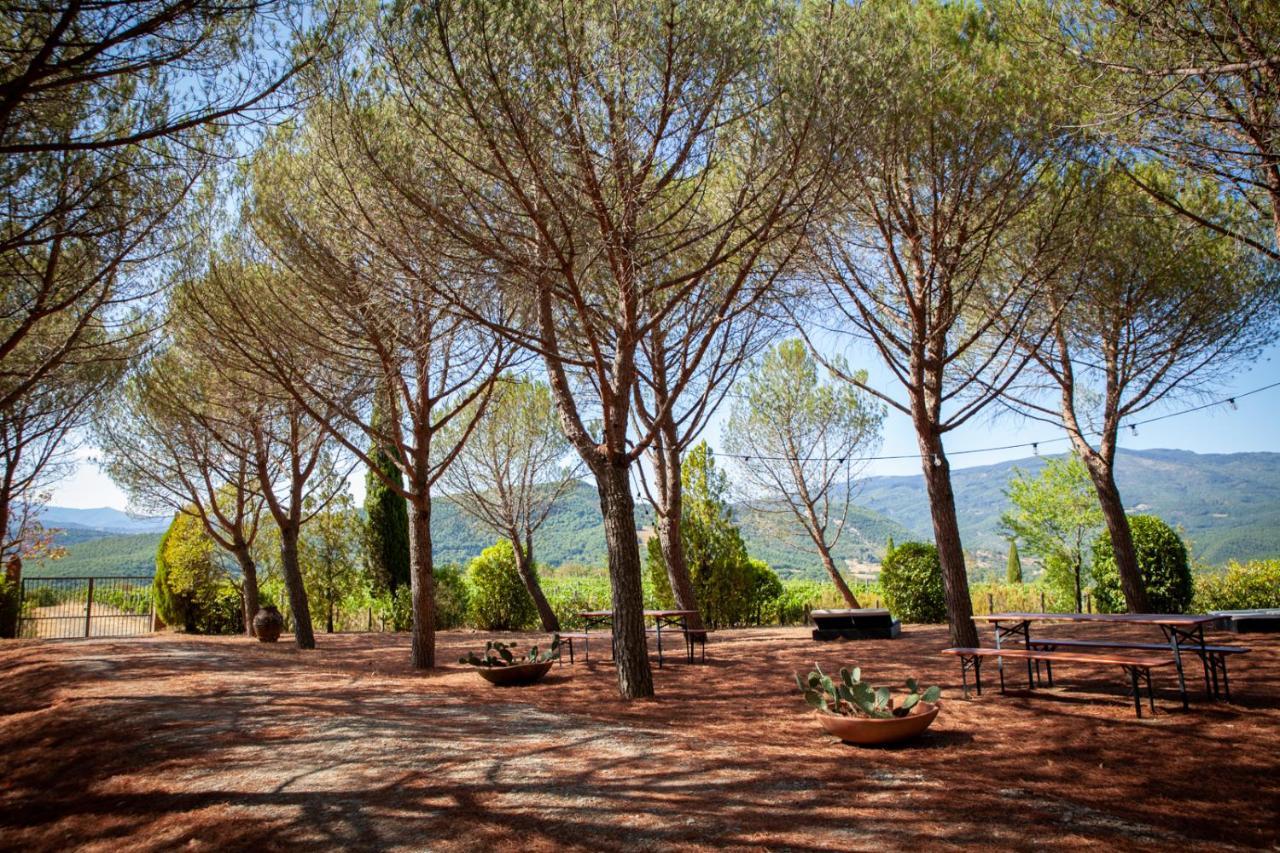 Buccia Nera Alloggio per agriturismo *